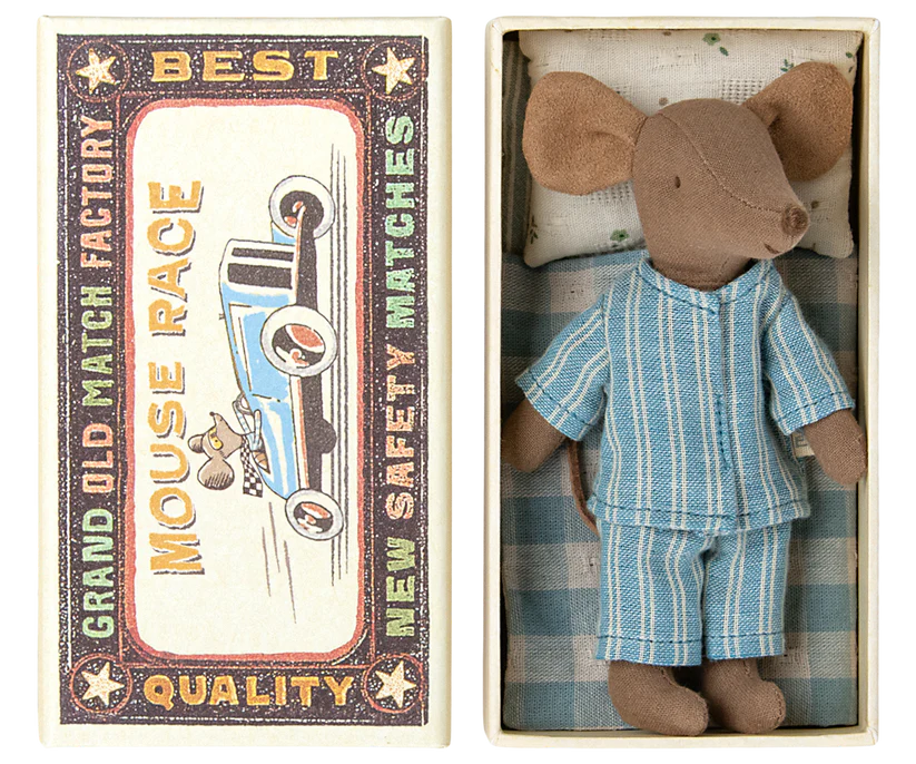 Big brother mouse in matchbox