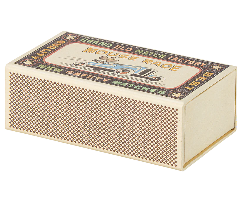 Big brother mouse in matchbox