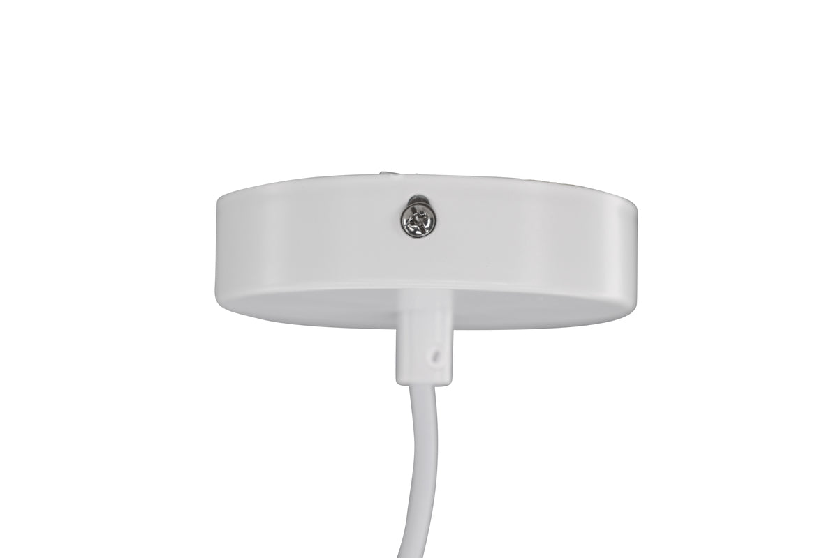 Nicola Taklampa, Vit