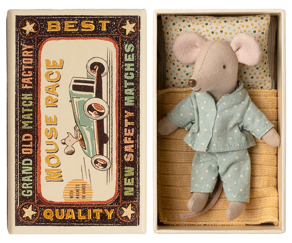 Little brother mouse in matchbox