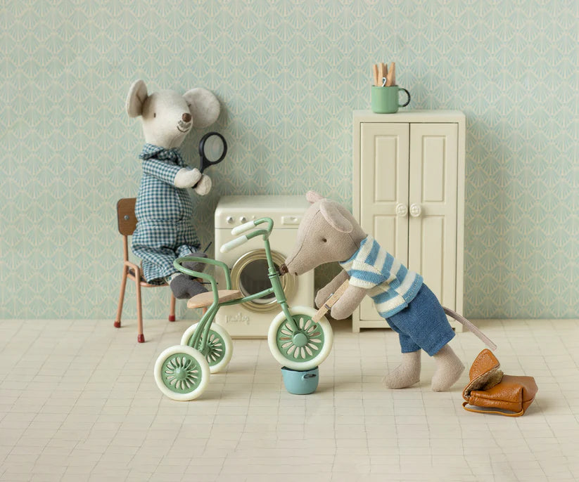 Tricycle mouse | Big brother, Brown