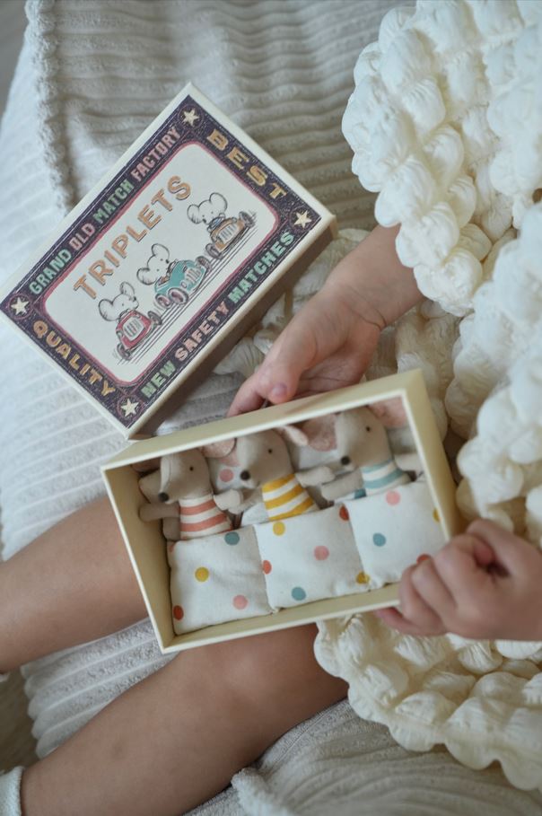 Triplets, Baby mice in matchbox