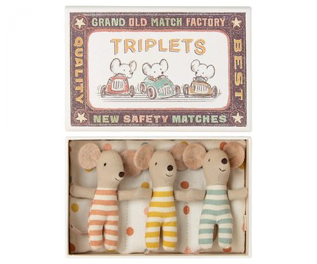 Triplets, Baby mice in matchbox