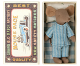 Big brother mouse in matchbox