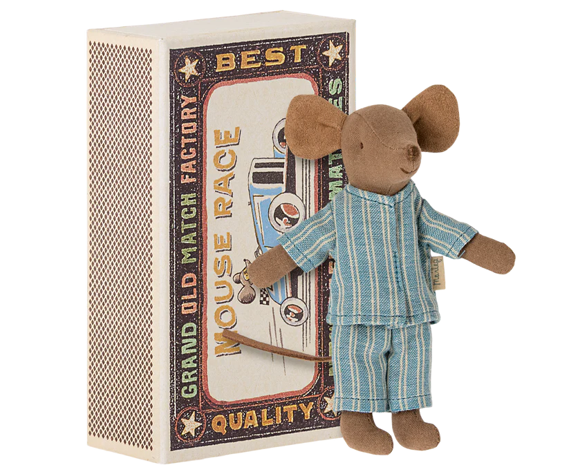 Big brother mouse in matchbox