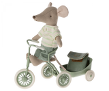 Tricycle mouse, Big brother