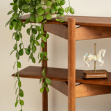 Mid Century Modern Bookcase | Tripod