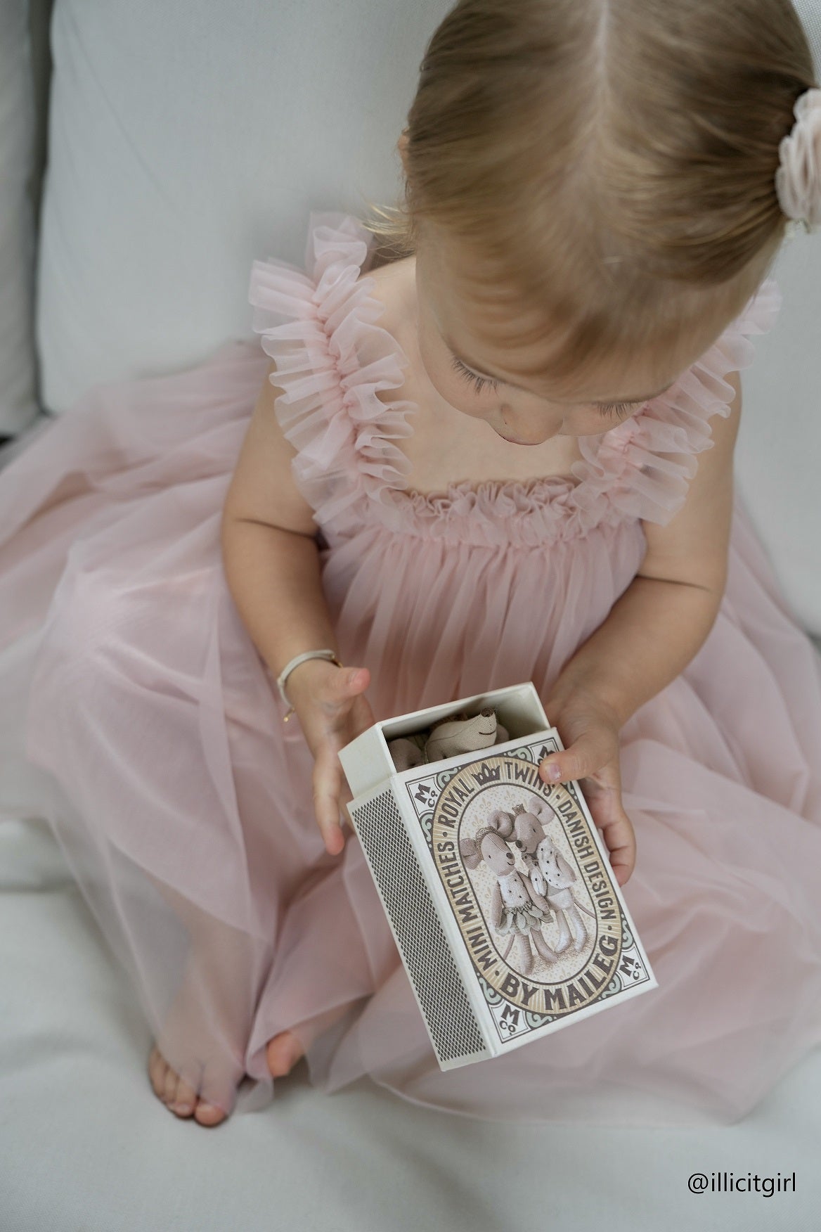 Royal twin mice, Little sister and brother in matchbox