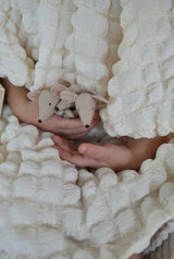 Triplets, Baby mice in matchbox