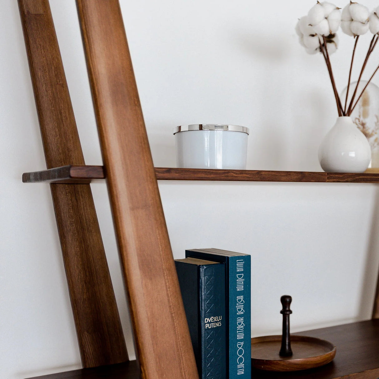 Mid Century Modern Bookcase | The X
