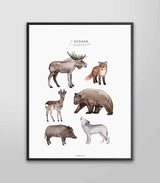 Poster "I skogen" - Fashionell